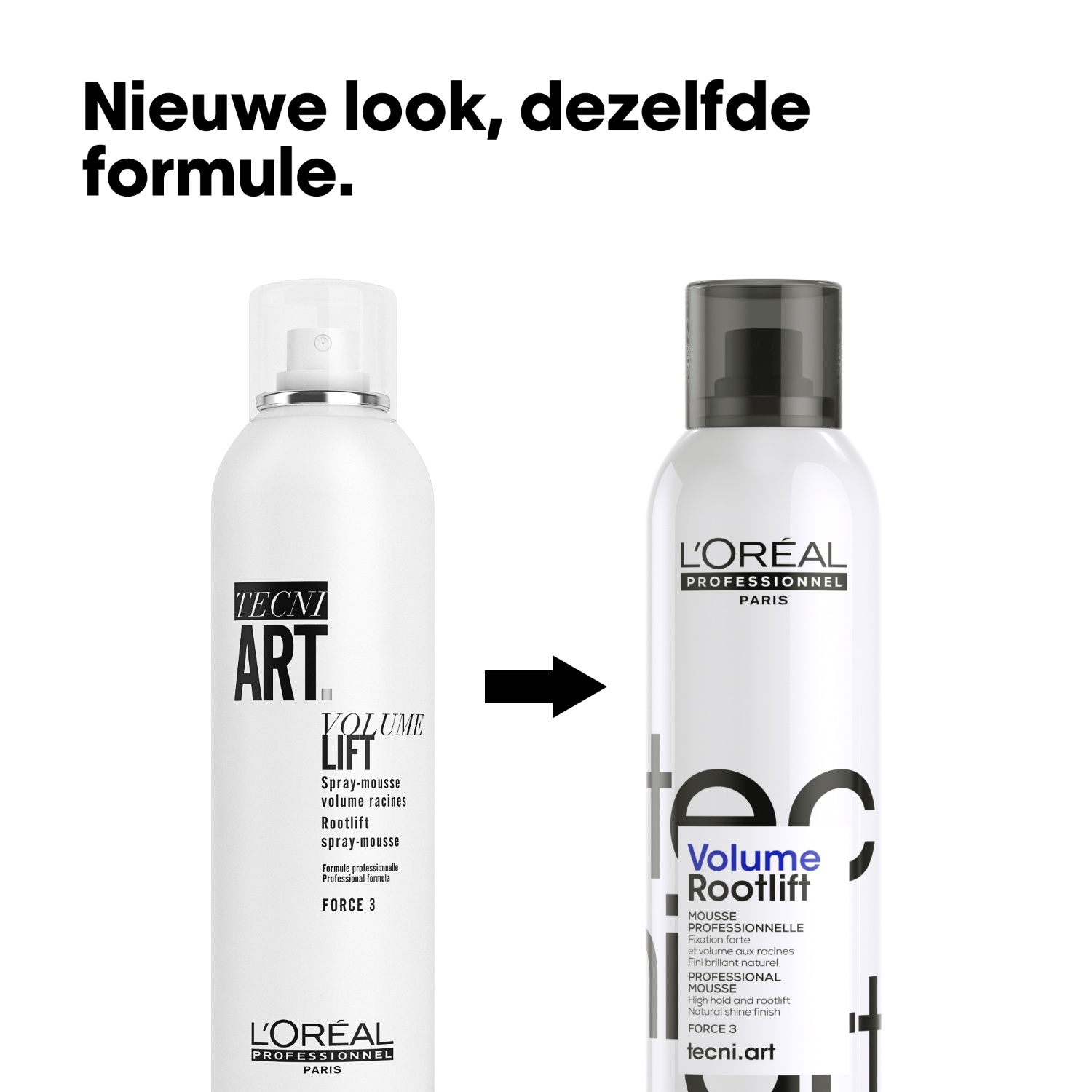 L'Oréal Professionnel matu laka TecniArt Volume Lift - 250 ml