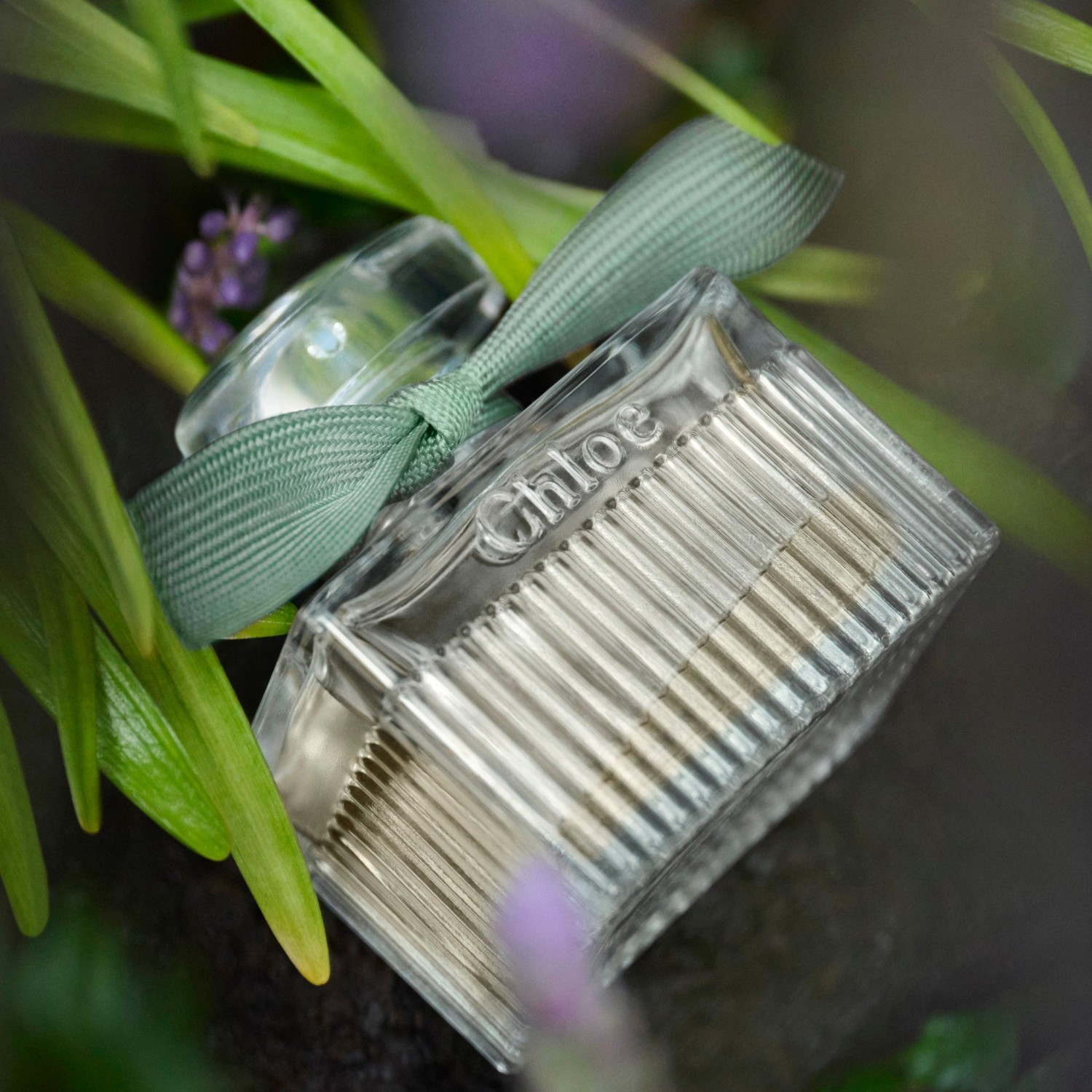 Chloé parfemska voda Chloé Rose Naturelle Intense - 30 ml