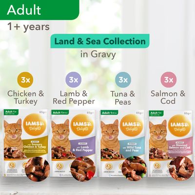 IAMS Delights Adult – Collezione Terra e Mare
