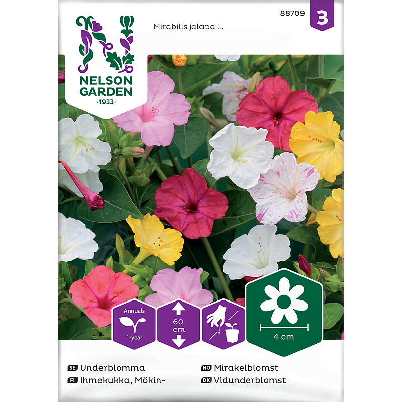 Nelson hagefrø Mirakelblomst Blandede farger
