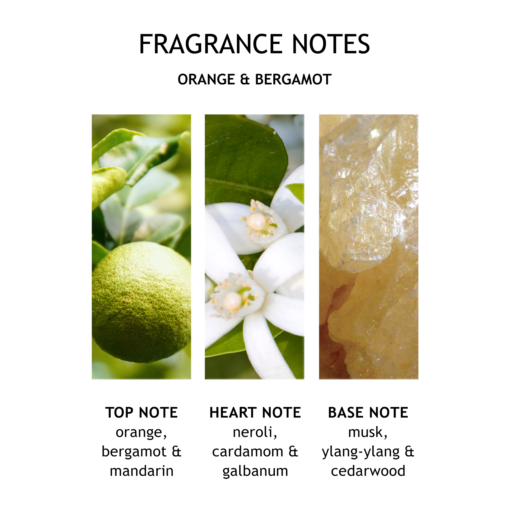 Lotiune de maini Portocala & Bergamota 300 ml - Molton Brown