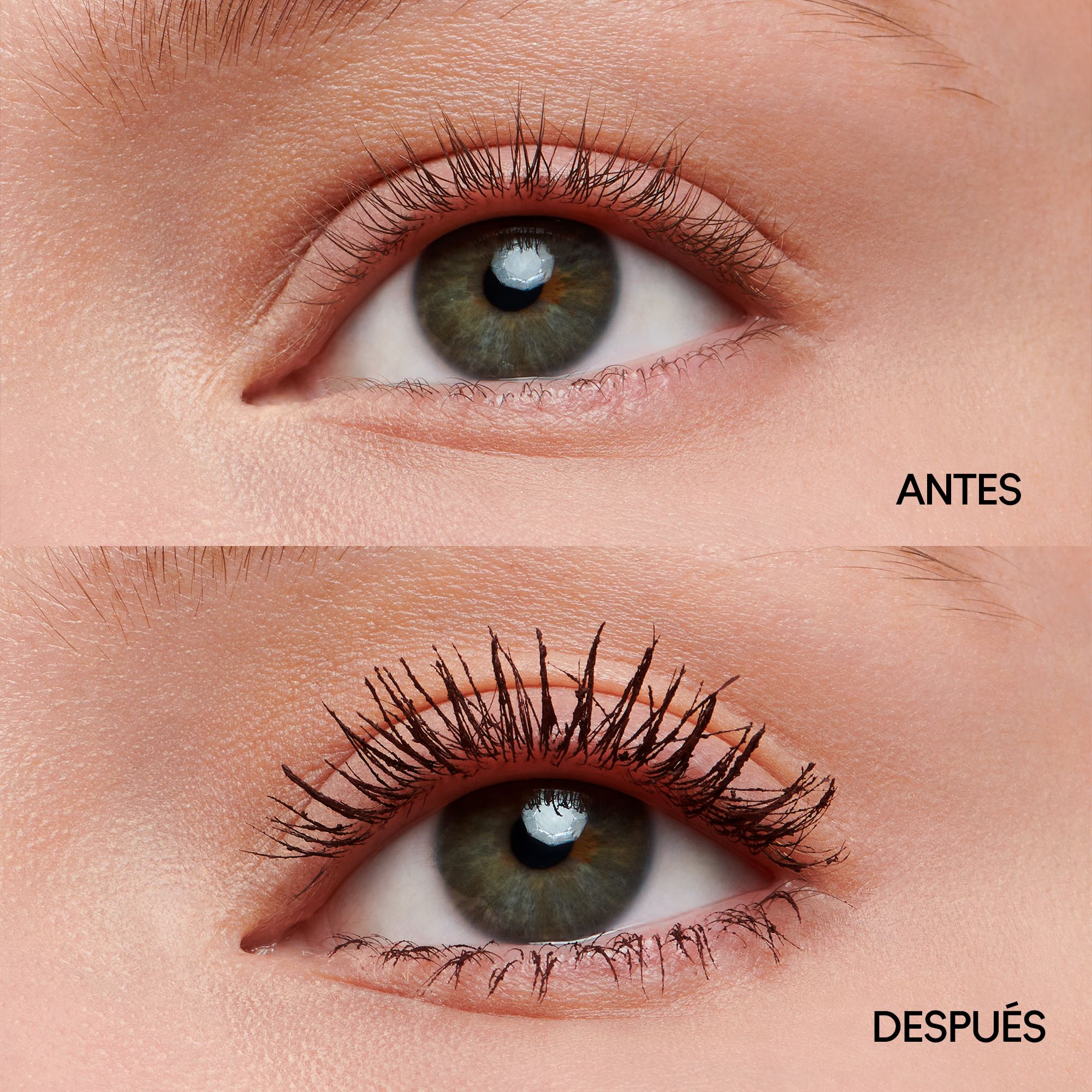 Macstack Mega Brush Chestnut Stack Luksusa skropstu tušas
