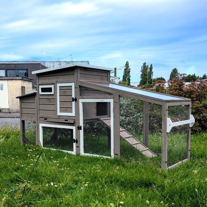 Gallinero móvil soleado con techo de tejas y policarbonato, con capacidad para hasta 6 gallinas, color gris.