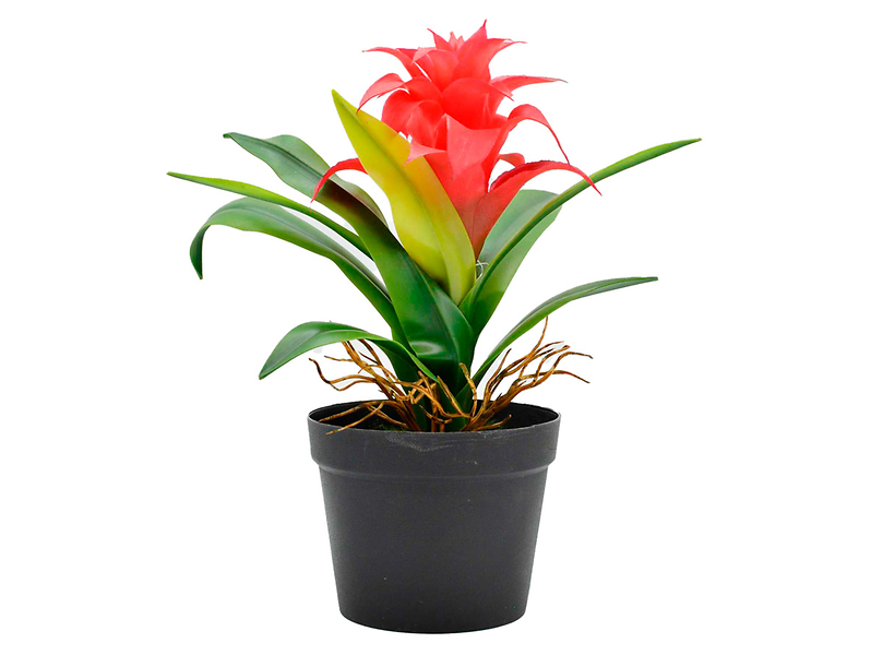sztuczna roślina w doniczce Guzmania 28 cm