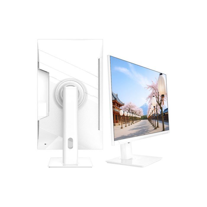 Ecran PC - JAPANNEXT - 27