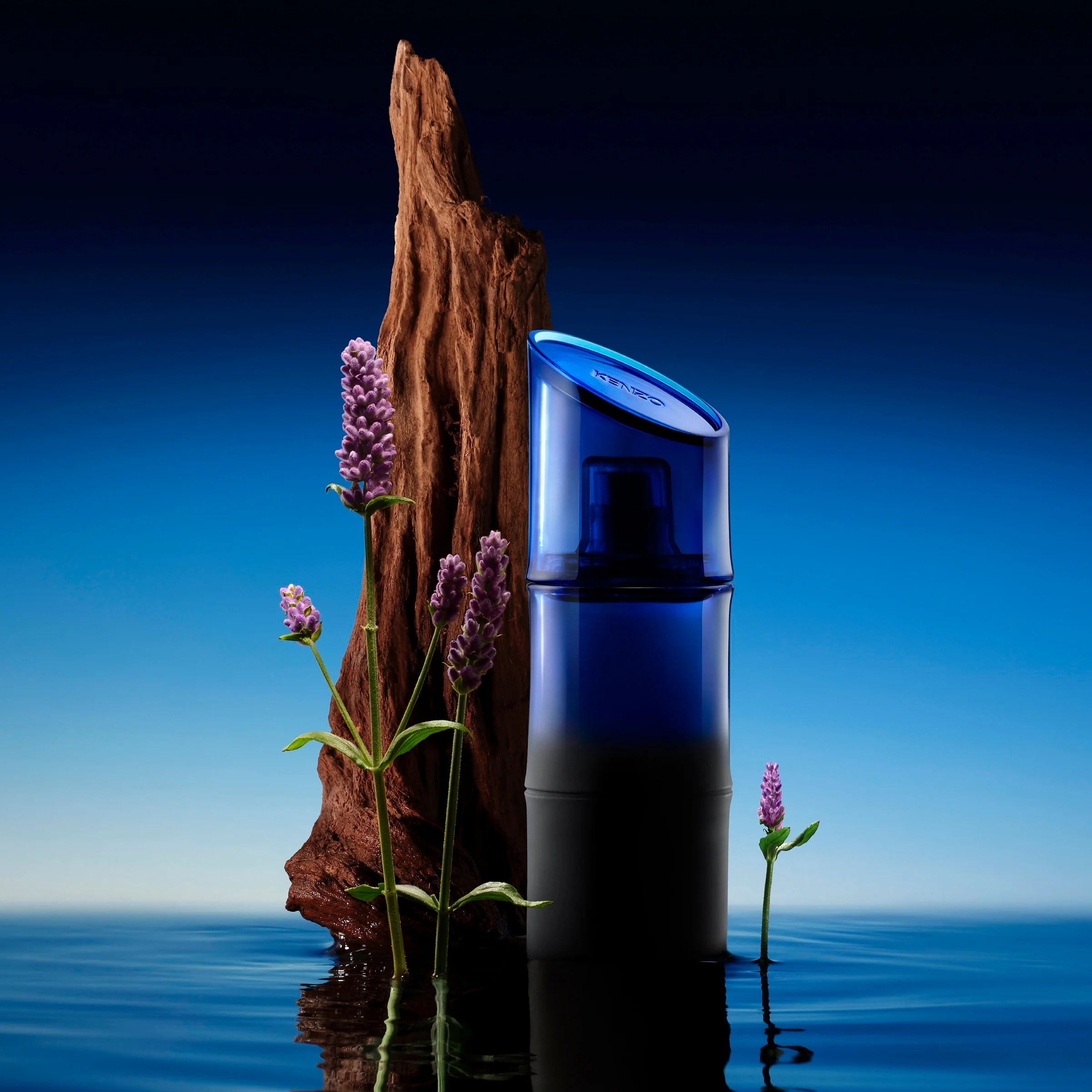 KenzoHomme Santal Marin - Eau de Toilette