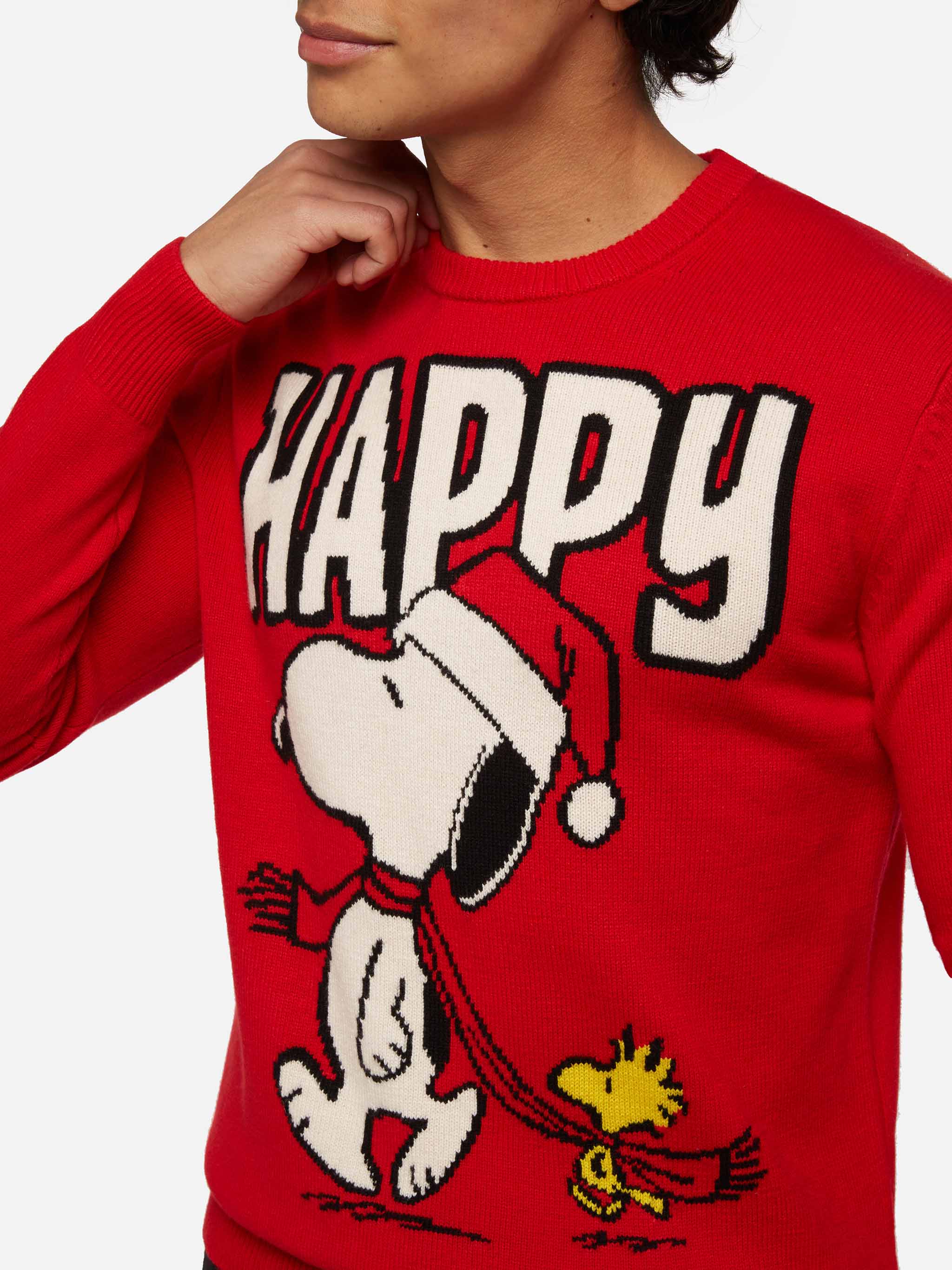 Trui met reiger en Snoopy-jacquard | SNOOPY PEANUTS® SPECIALE EDITIE