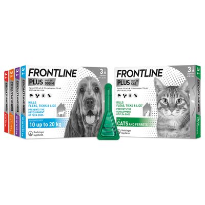 FRONTLINE® Plus Täpläsumute kissoille