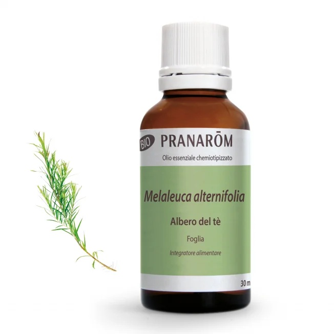 PRANAROM Pranarom Tea Tree 30 ml etherische olie