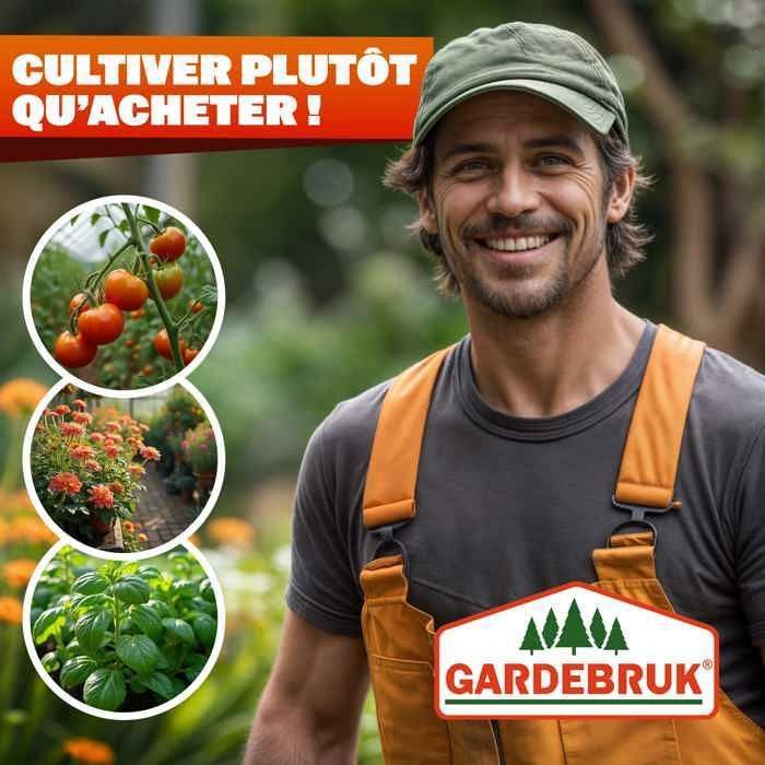 GARDEBRUK® Serre de jardin aluminium 3,6m² 190x190cm 1 lucarne serre à tomates plantes légumes fleurs hivernage semis 5,8m³