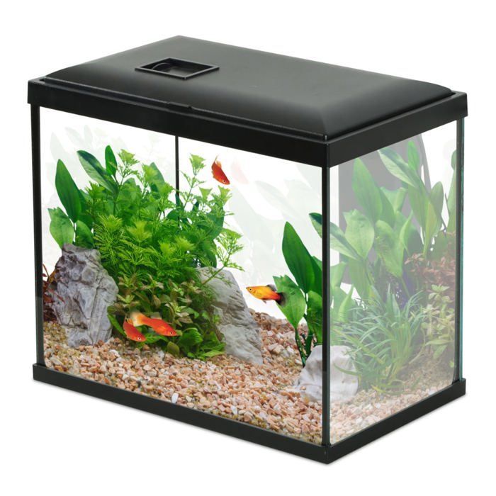 Peces de acuario Initio 30cm Negro - Zolux