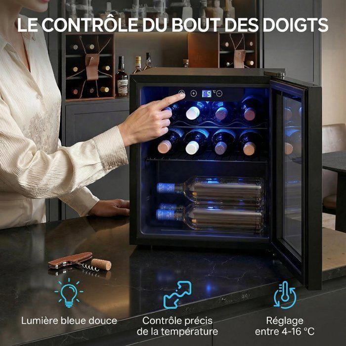 Wine cellar - HOMCOM - 12 bottles - adjustable temperature 4-16 °C, reversible door - steel and tempered glass - 43x41.5x46.5cm - black