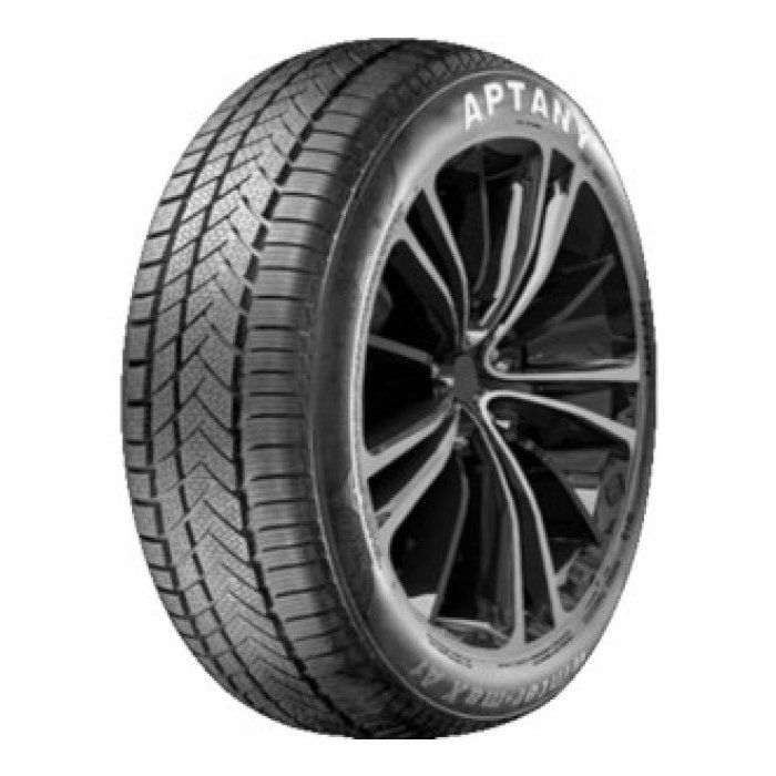 Neumático de invierno para coche Aptany RW211 195/55 R16 87H