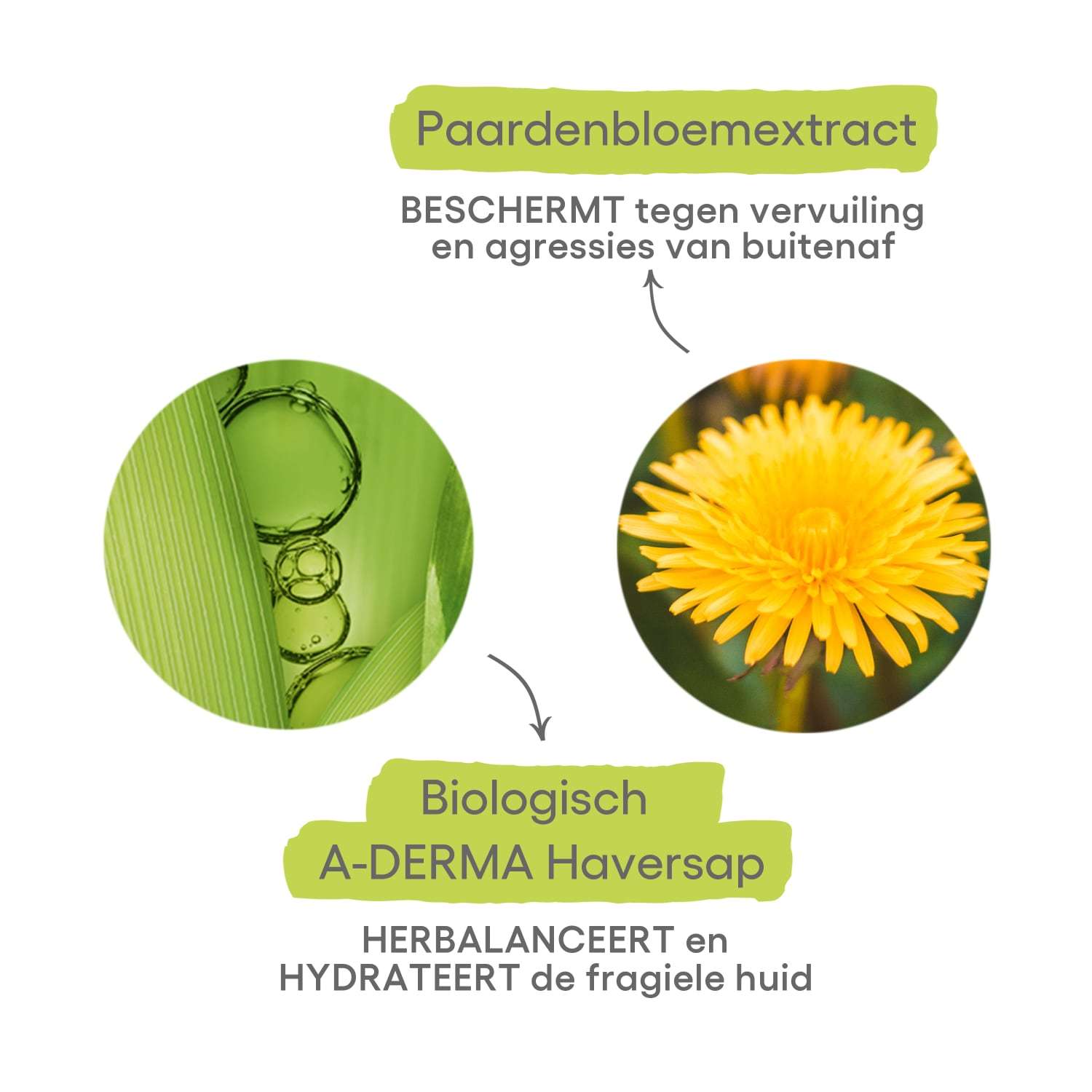 A-DERMA makiažo valiklis, biologinis dermatologinis makiažo valiklis – 400 ml