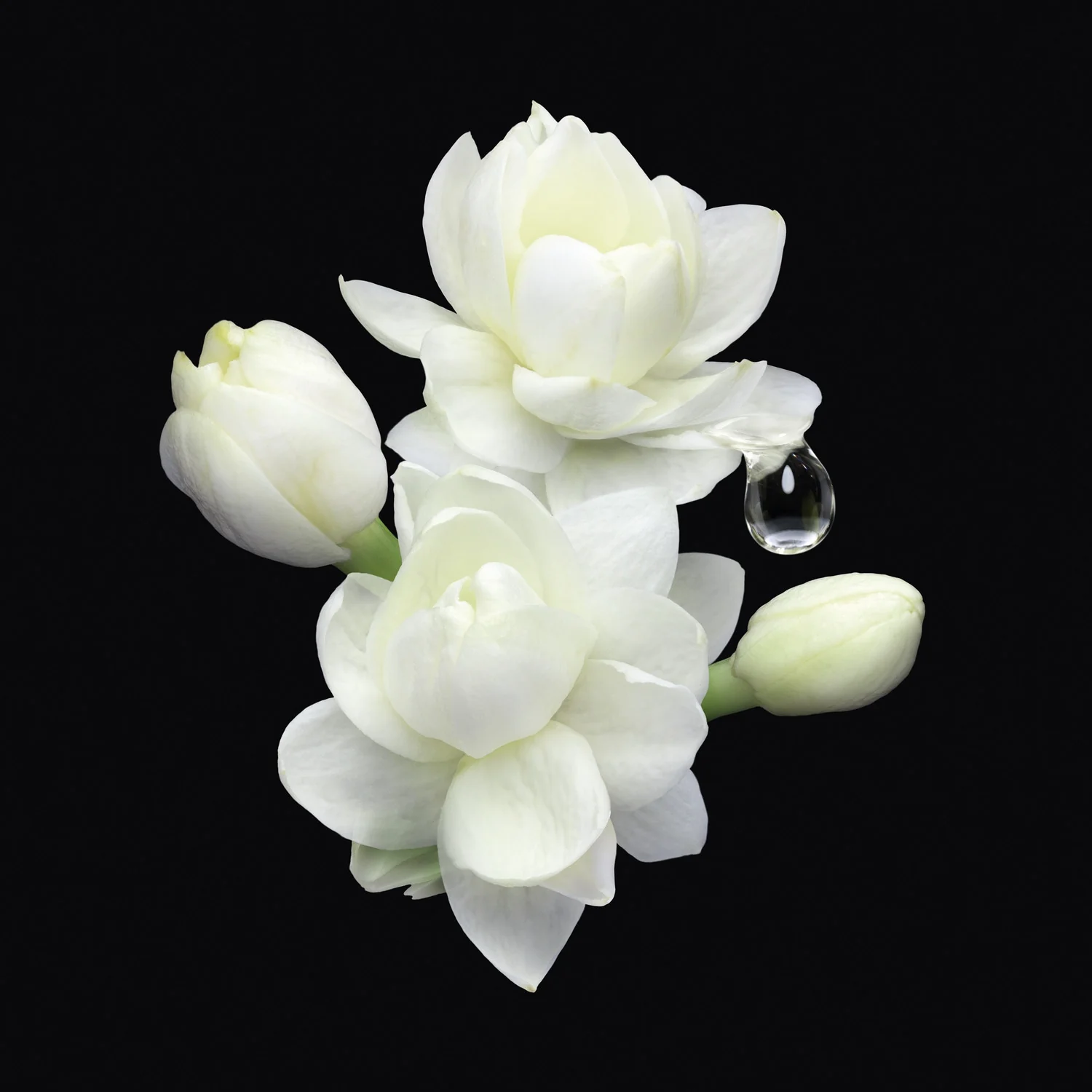 Armani Privé Les Eaux Jasmin Kusamono - Eau de Toilette, Eau de Toilette Unisex