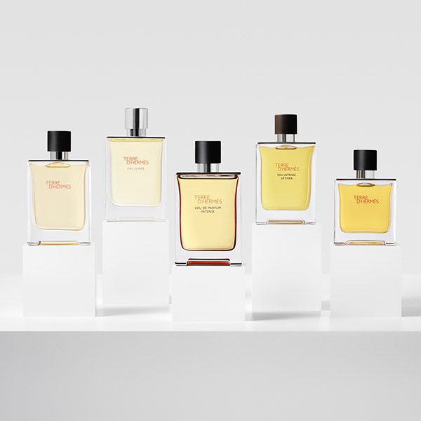 Terre d'Hermès Men Eau de Parfum Intense Muški parfemi