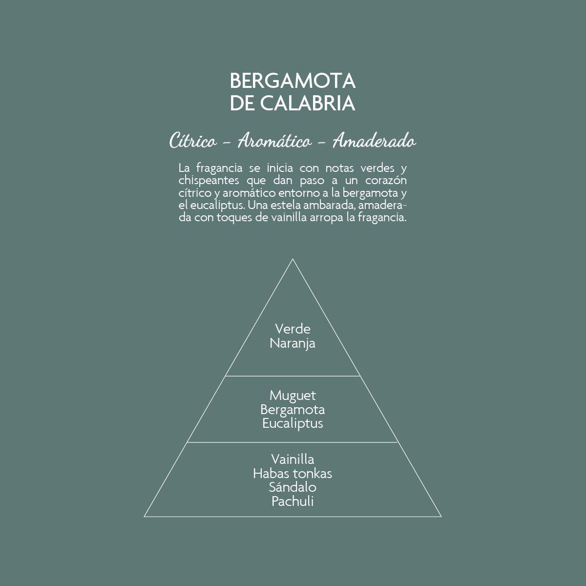 Mikado Premium Bergamot Gaisa atsvaidzinātāji un sveces