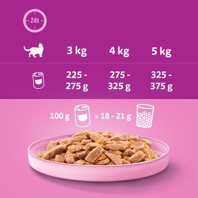 Whiskas 1+ Dosen-Sparpackung 24 x 400 g