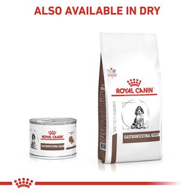 Royal Canin Veterinario Canino Cucciolo Gastrointestinale Mousse Ultra Morbida