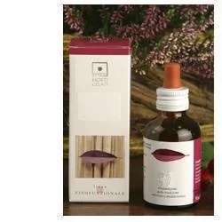 SANTIVERI Ribes Nigum 50 ml Stv