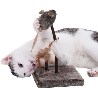 Wild Mouse Cat Aktivitätsbrett mit Geräuschen und LEDs
