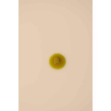 Beemine Lab Cannabis Oil 10% CBD Väsymyksen lievitysöljy, jossa 1000 mg CBD:tä 10 ml