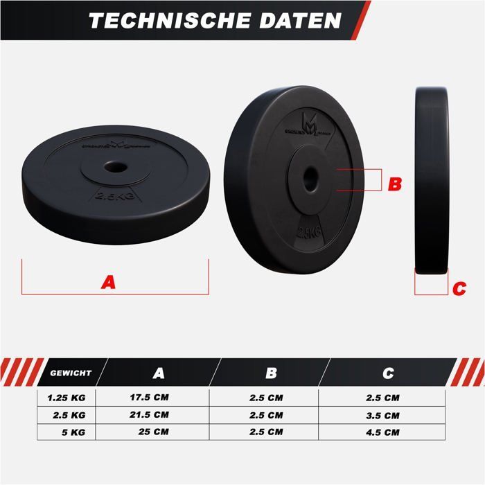 Gyronetics E-serien Paket med 12 skivor Totalvikt 30 kg (26 mm) GN012