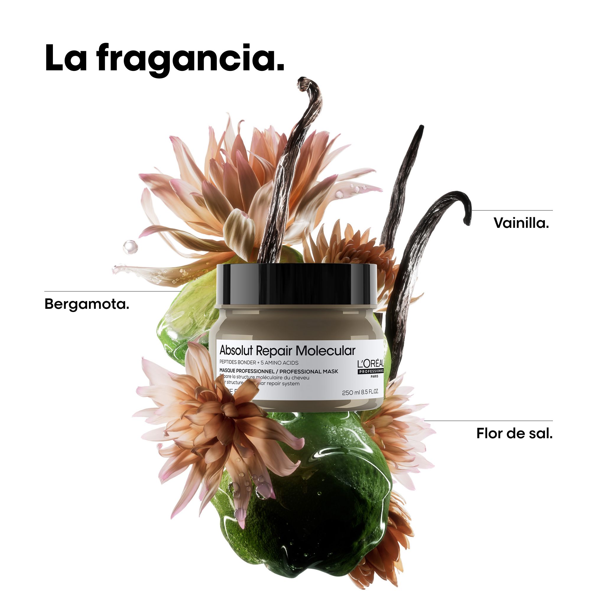 Molekularna maska Serie Expert Absolut Repair Profesionalne frizerske maske