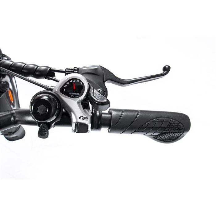 Vélo électrique BAICYCLE DS3, Noir, Moteur 250W, Batterie 36V10.4Ah, Autonomie 35KM en électricité Pure