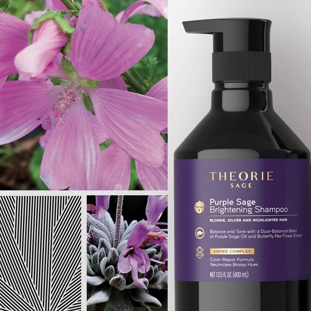 Theorie Sage Purple Salvia balinošais efekts