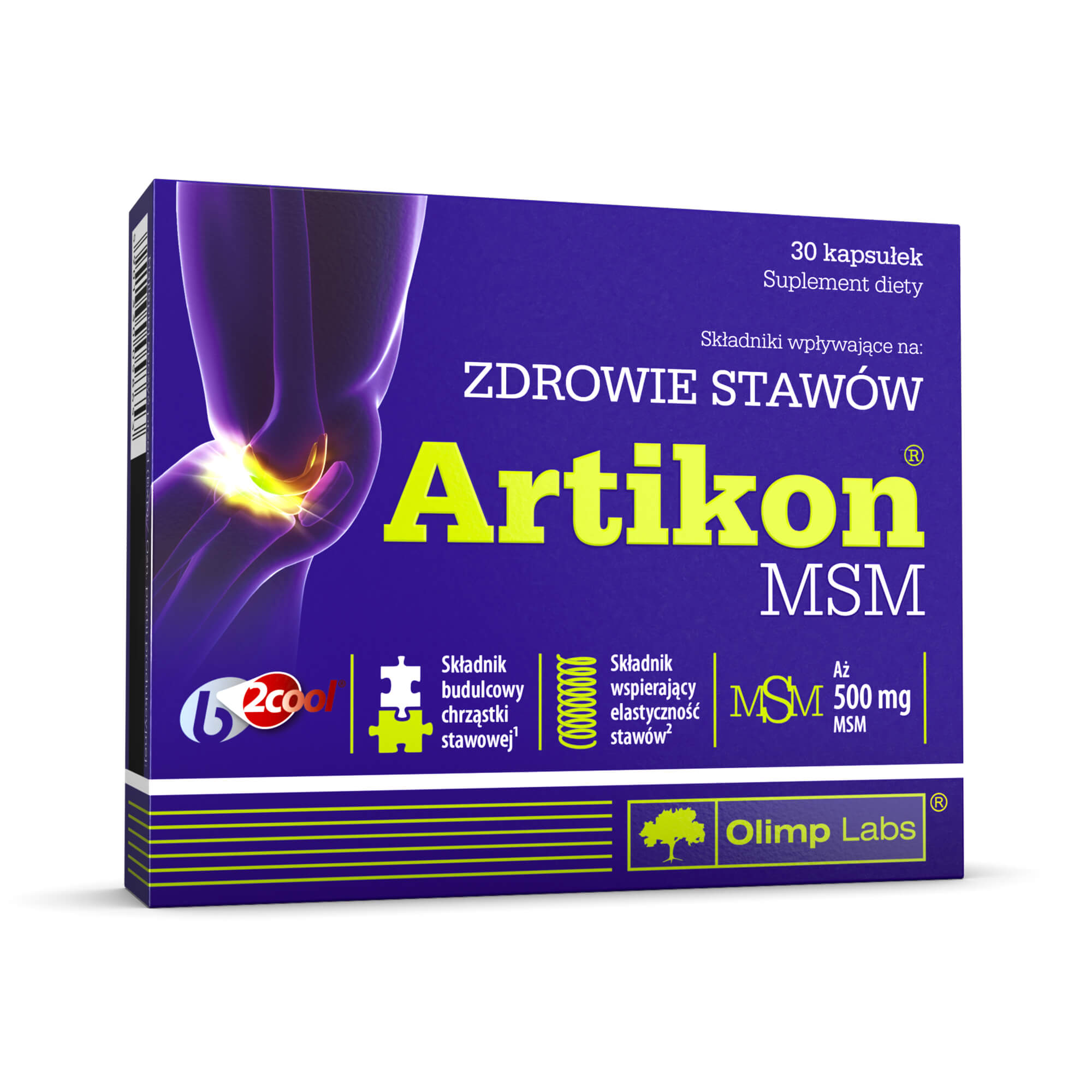 Olimp Labs Artikon MSM