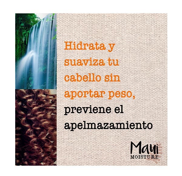 Hibiscus Water Shampoo| 385ML