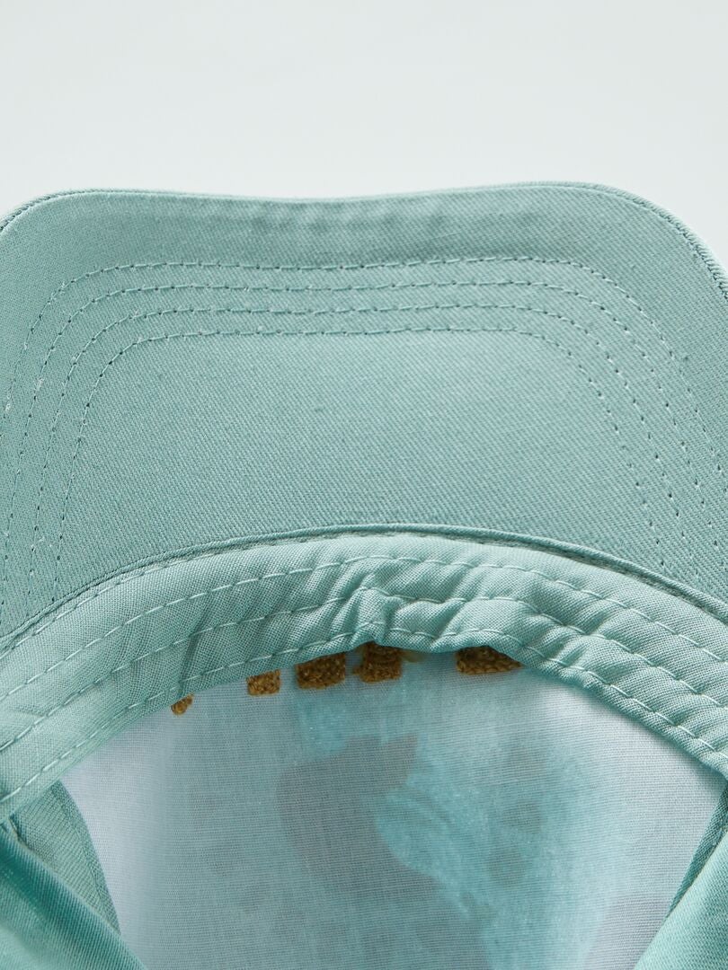 Canvas pet - BLAUW