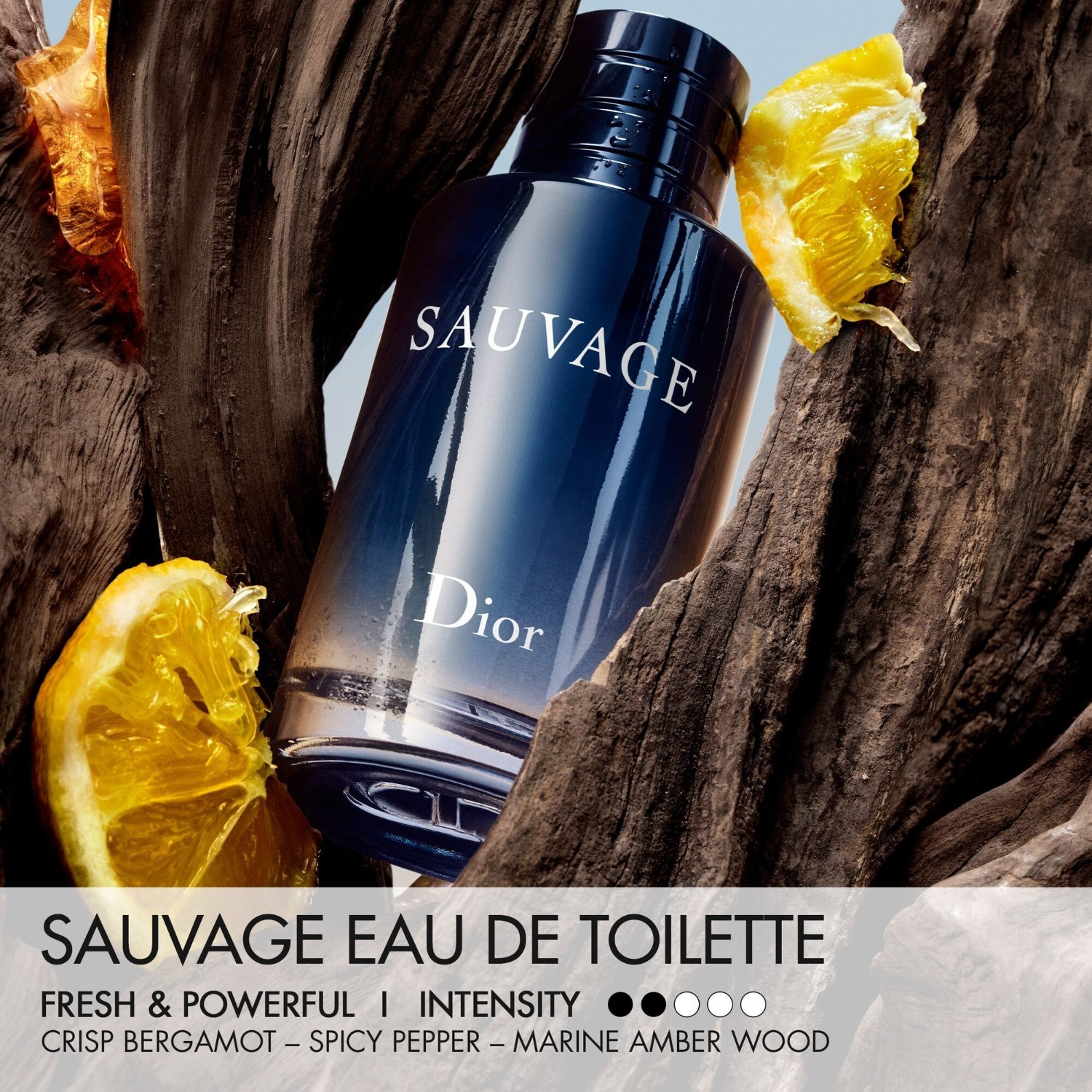 DIOR Sauvage Eau de Toilette – 30 ml (punjiva)