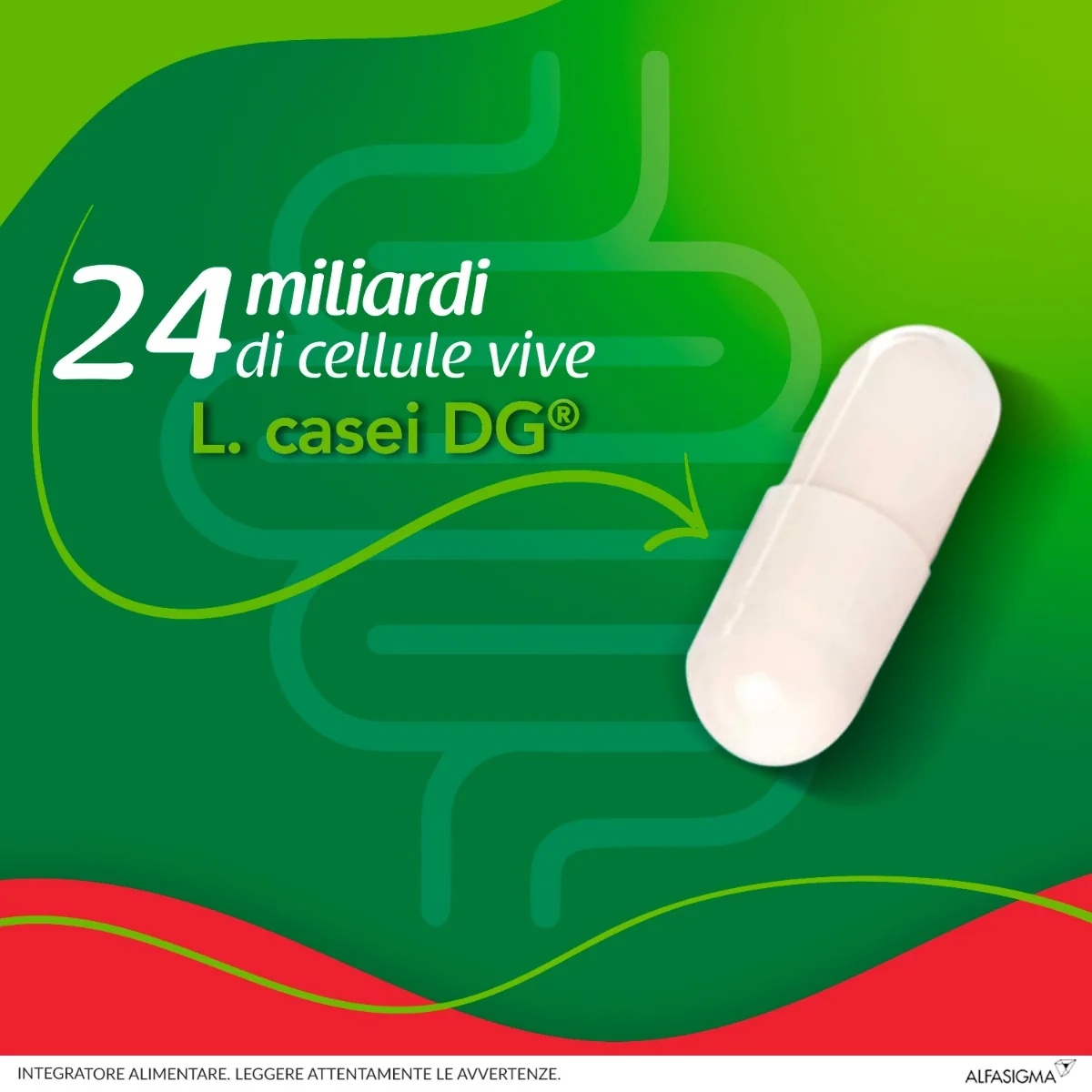 ENTEROLACTIS Enterolactis Plus 15 cápsulas Fermentos lácticos