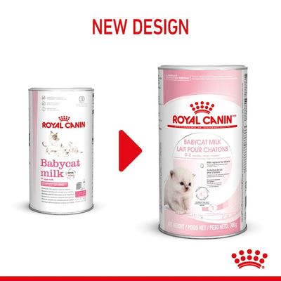 Latte per gattini Royal Canin