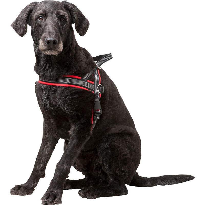 Zoozaker hundsele T-formad 50 cm med vaddering och reflex