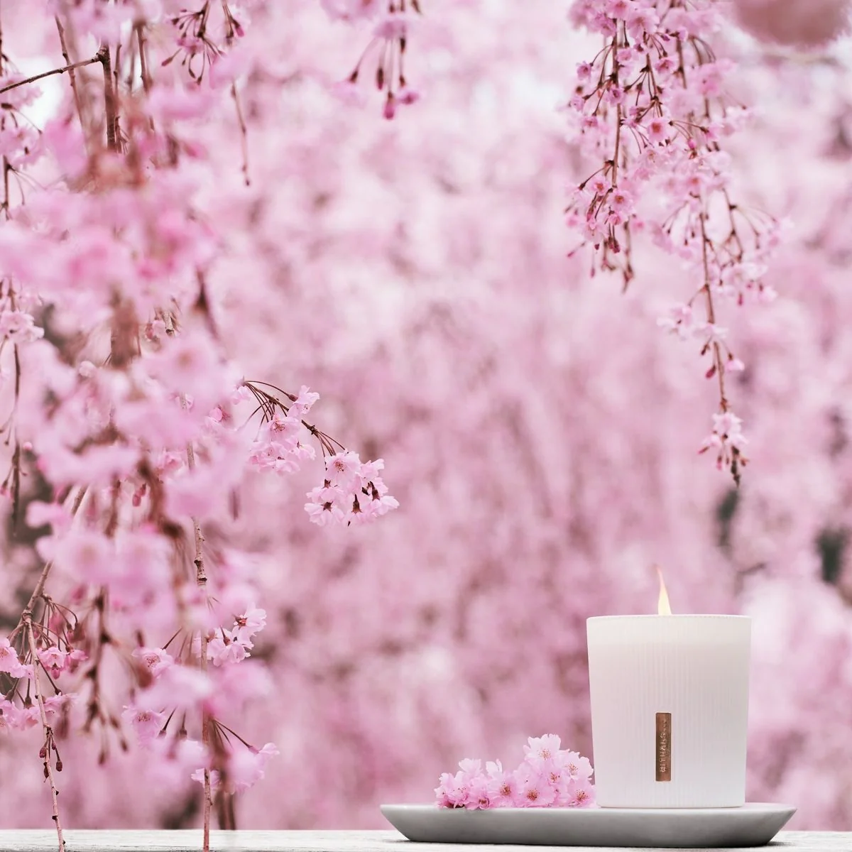 Home Collection The Ritual of Sakura Scented Candle - Candela Profumata