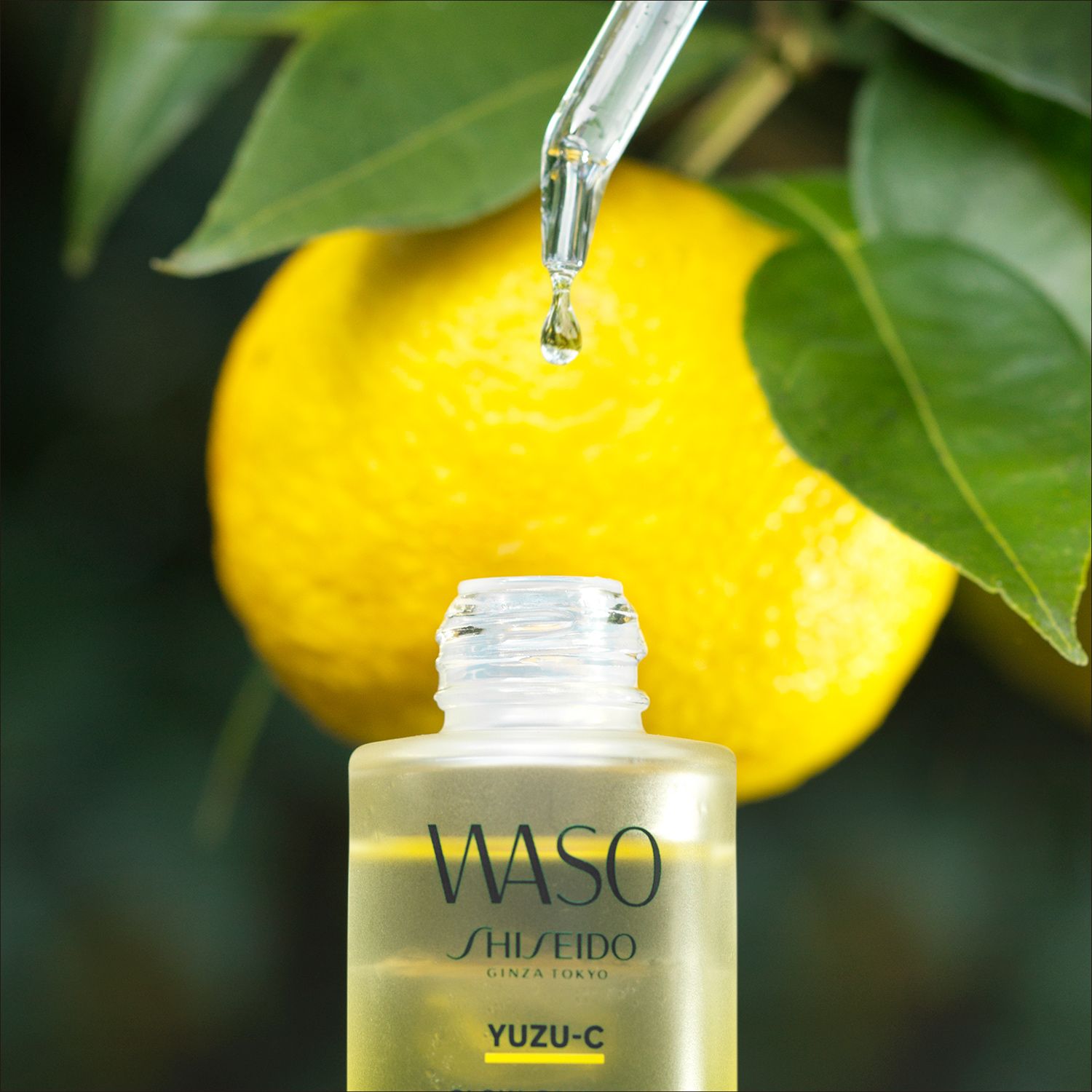 Rozjasňujúce sérum Waso Yuzu-C Glow-On Shot Luxusná hydratácia a výživa