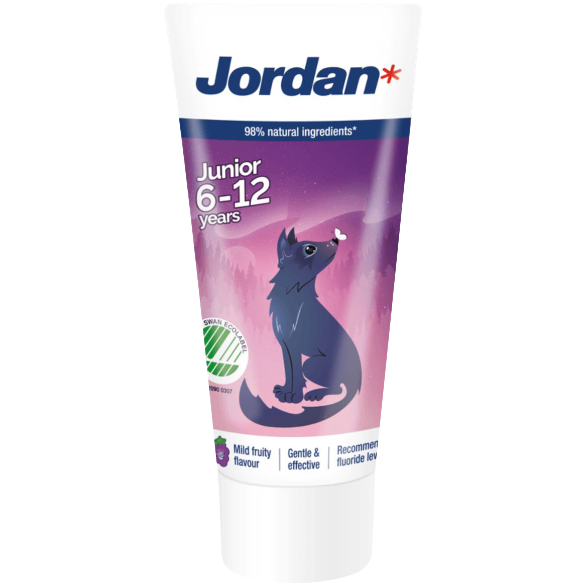 Jordan Junior