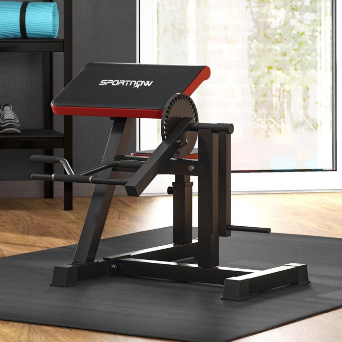 Bicepsviktsbänk - SPORTNOW - 2-i-1 - 5-stegs justerbar sitthöjd - Hantelhållare - Maxbelastning 120 kg