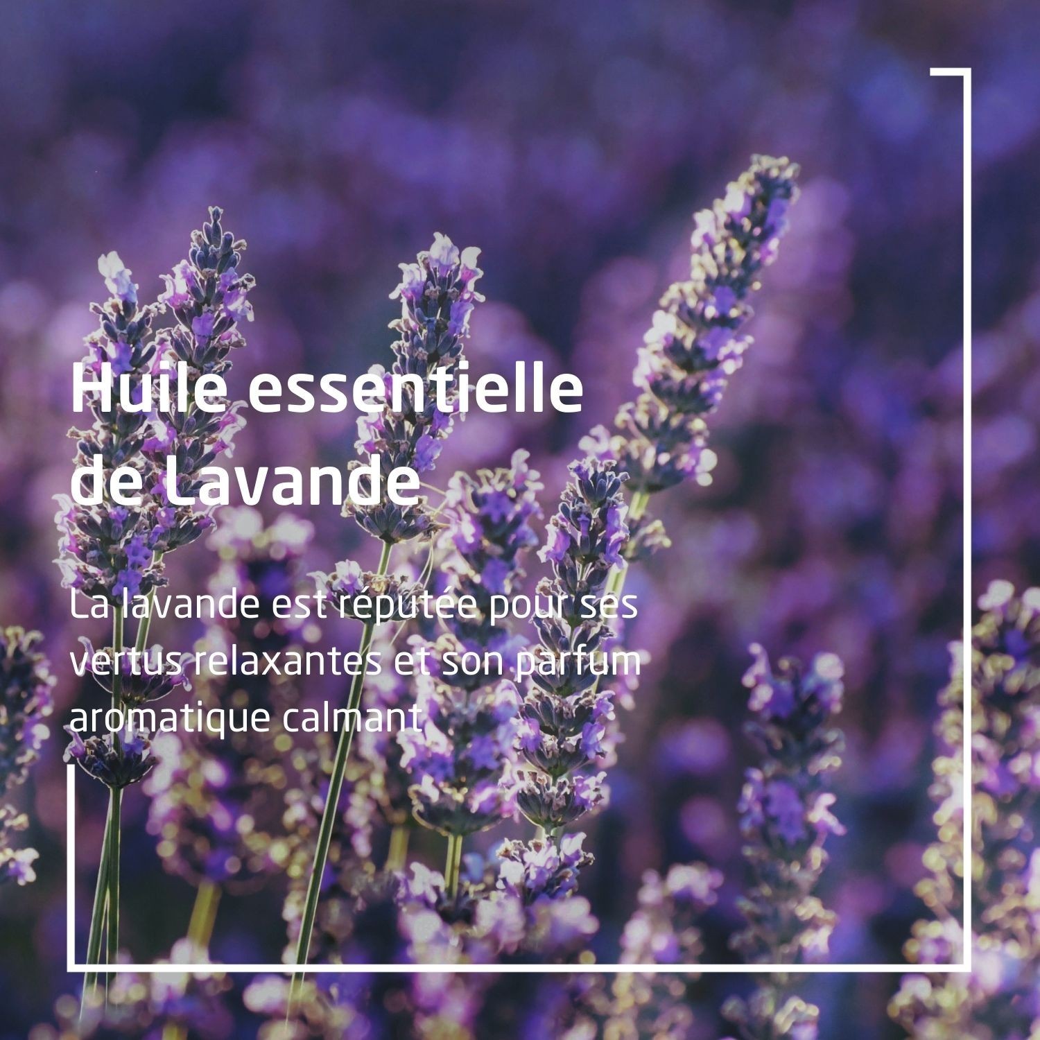 Weleda Brumessence Détente - 50 ml