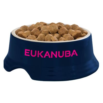 Pollo de raza grande maduro y próspero Eukanuba