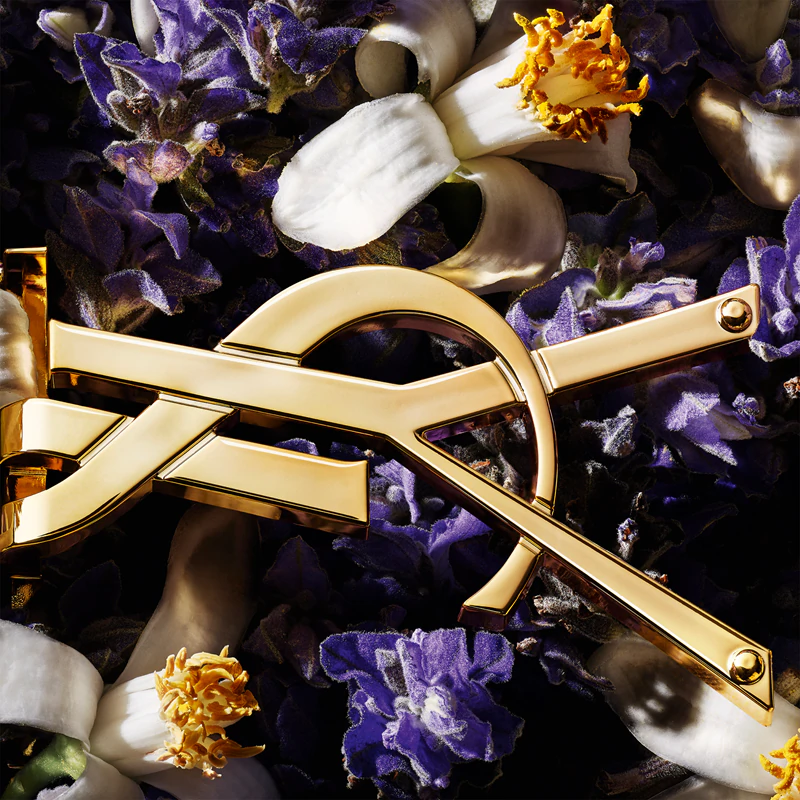 Conjunto de presente Yves Saint Laurent Libre para mulheres