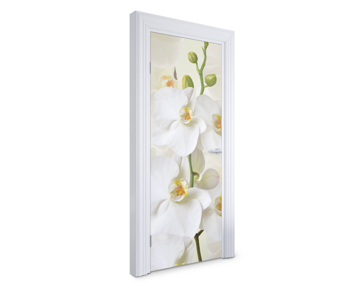 Naklejka na drzwi Białe orchidee 75x205 cm Fototapeta