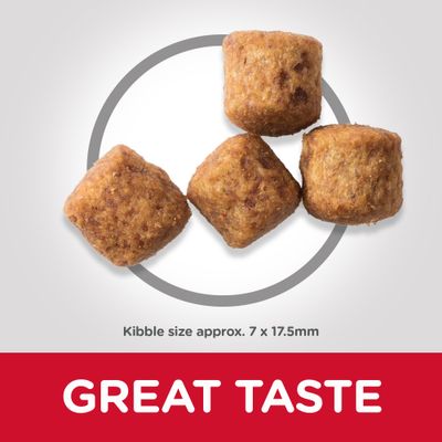 Hill's Science Plan Adulto maturo 6+ Razza grande con pollo