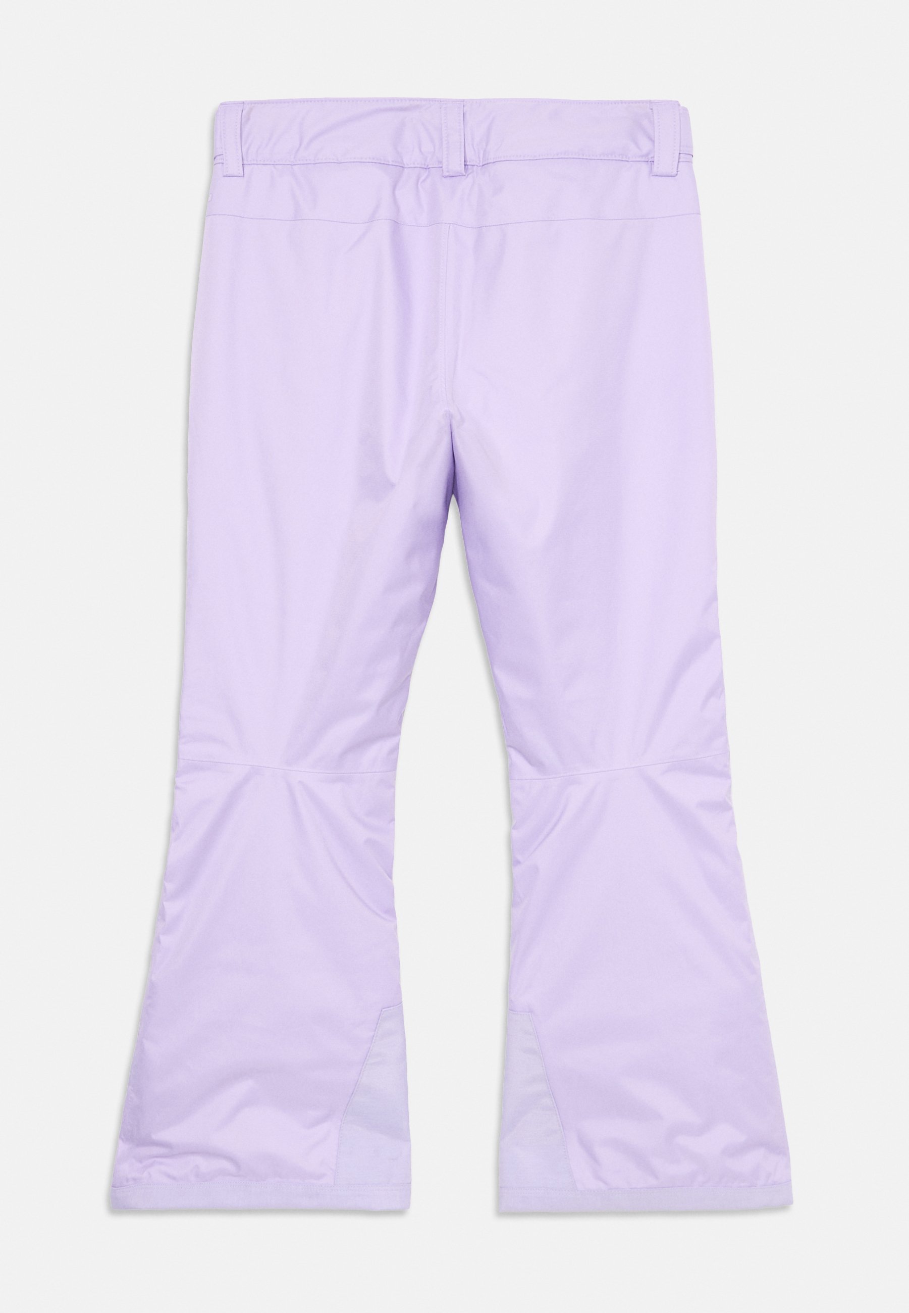 The North Face FREEDOM INSULATED PANT UNISEX - Skibroek - licht lila