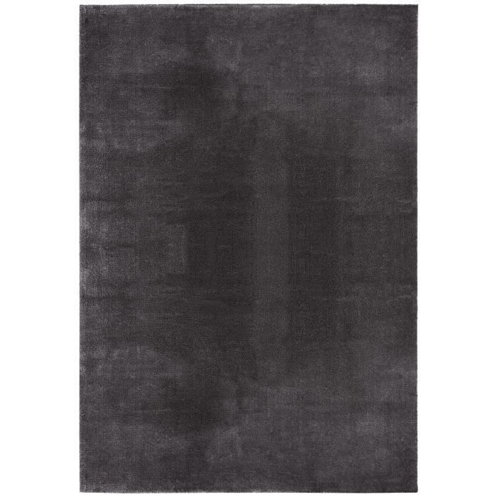 Alfombra para salón - The Carpet Loft - Antracita - 240x340 cm - Pelo corto - Antideslizante