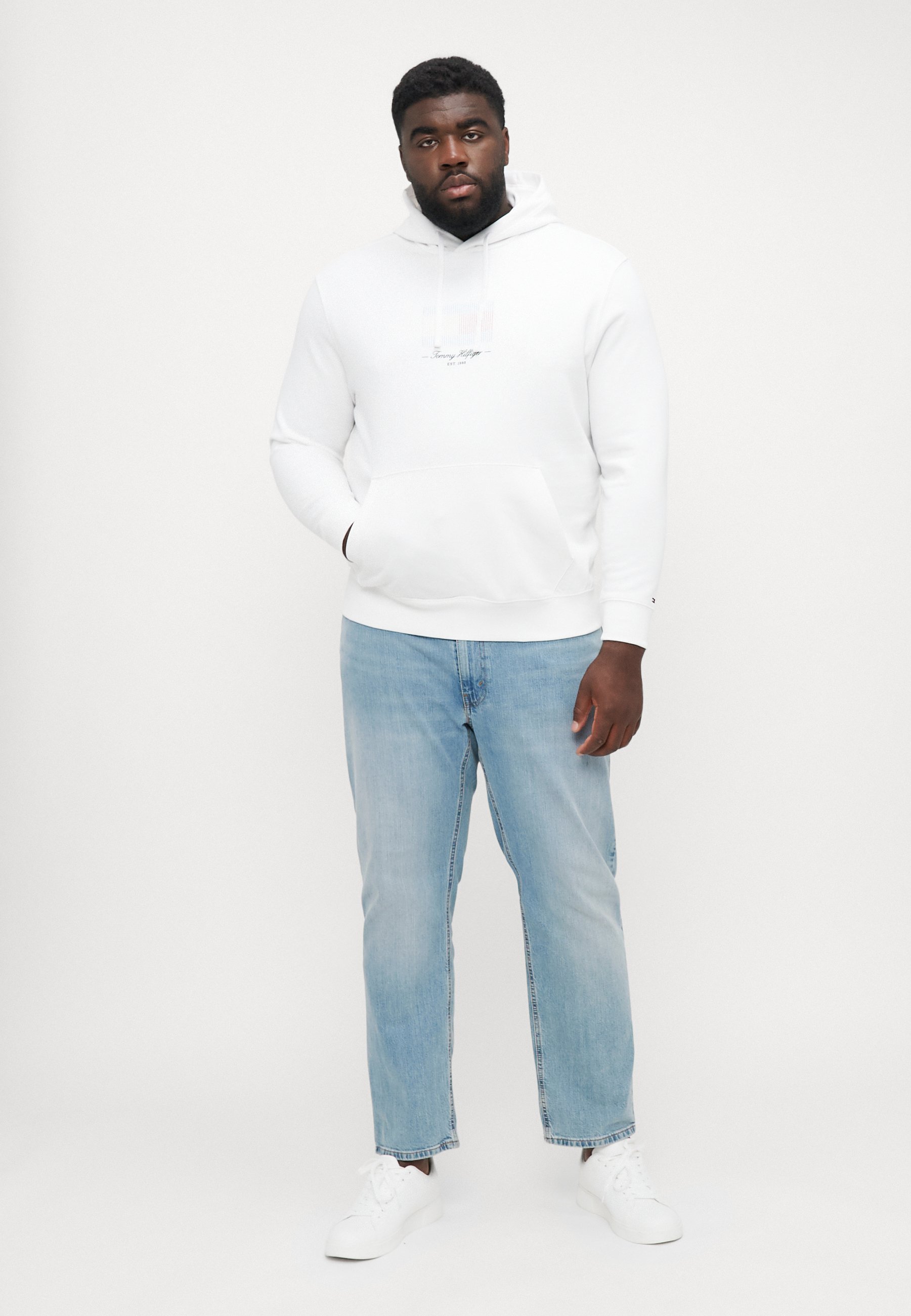 Tommy Hilfiger ITHACA FLAG HOODIE - Pulover s kapuco - bel