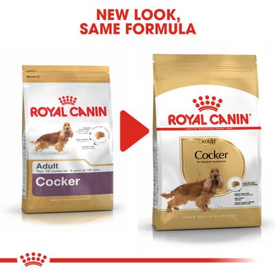 Royal Canin Cocker Spaniel Adulto